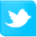 logo_twitter